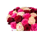 Květinový box růží